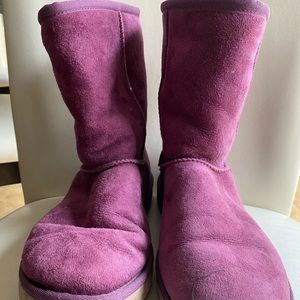 Purple uggs